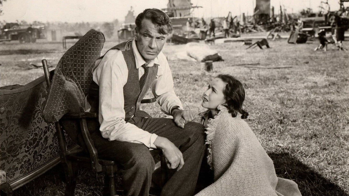 카사노바 브라운