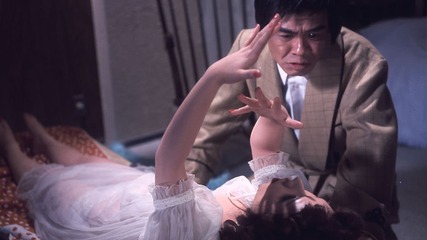 大人のオモチャ　ダッチワイフ･レポート