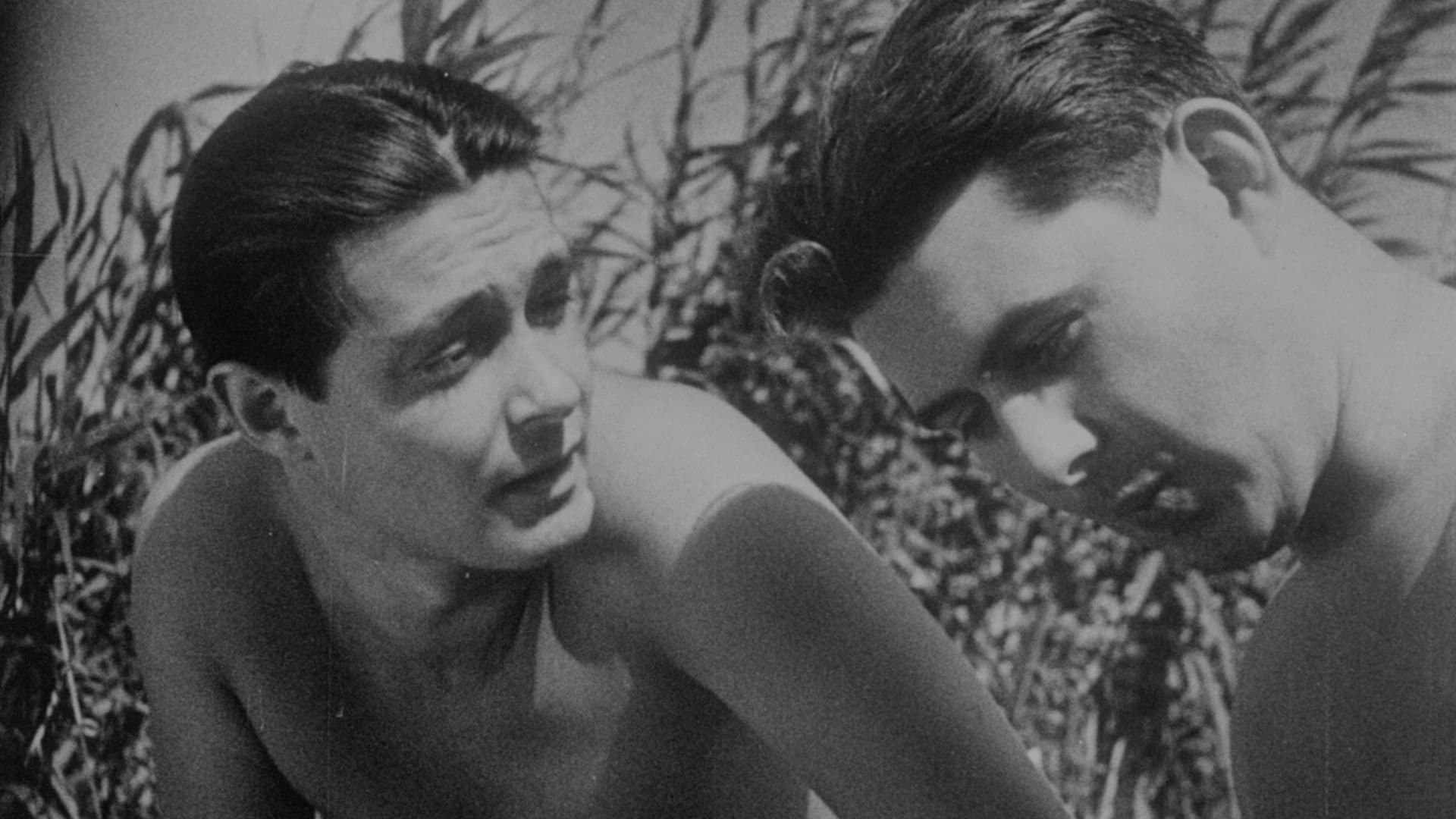 일요일의 사람들