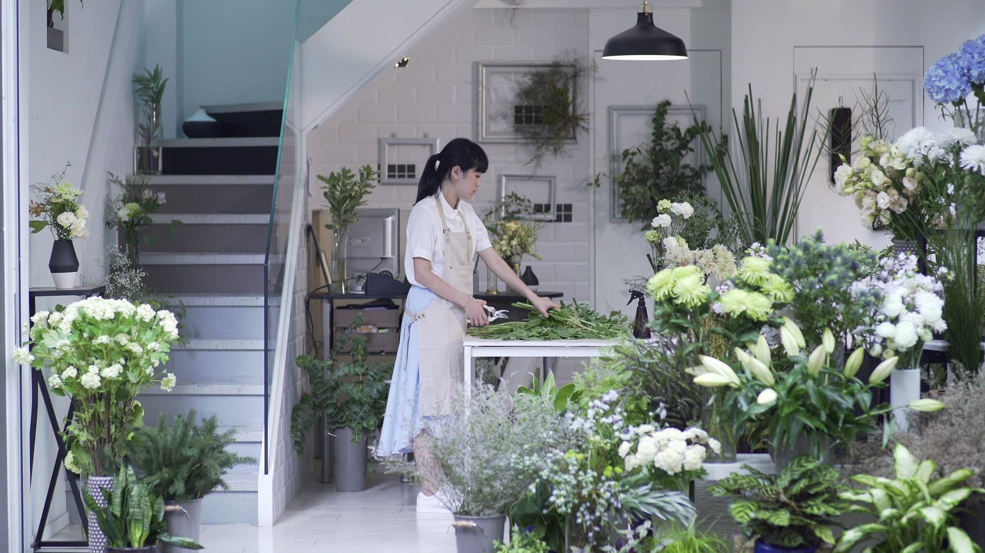 Little Shop of Grotesque