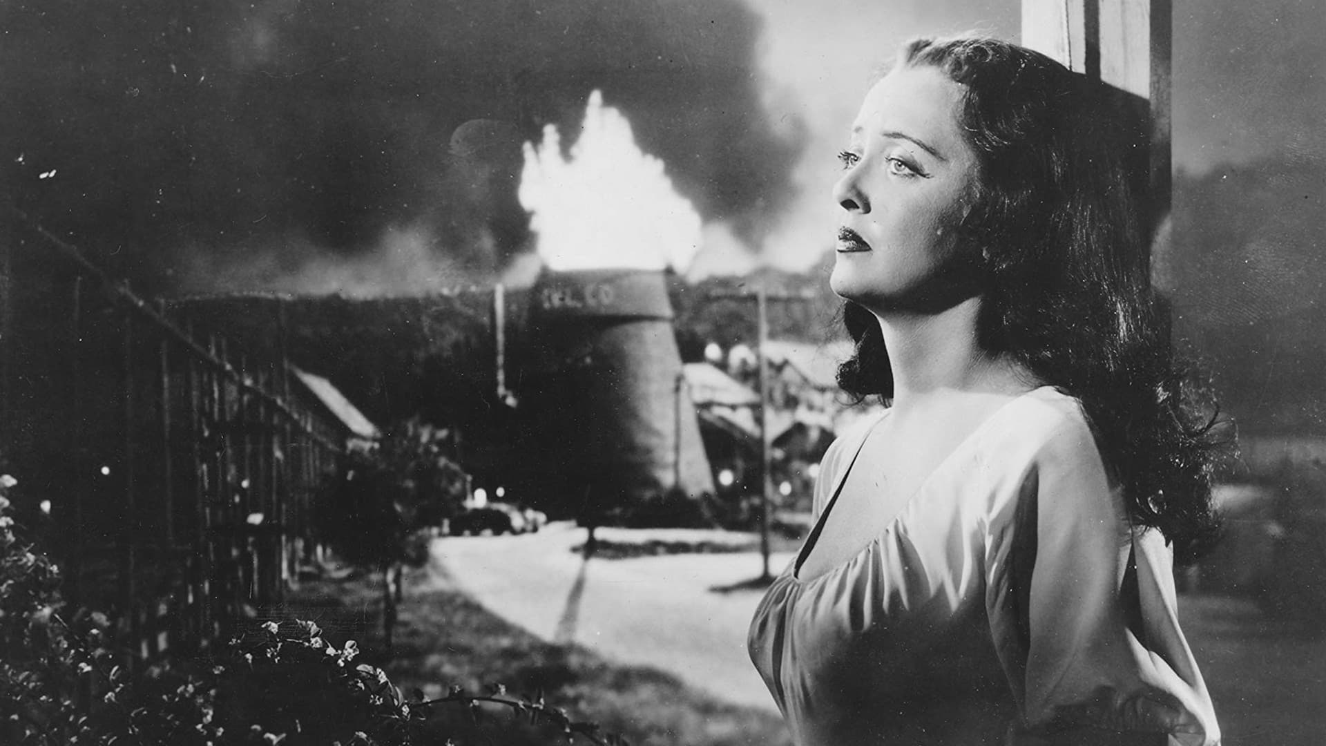 비욘드 더 포레스트