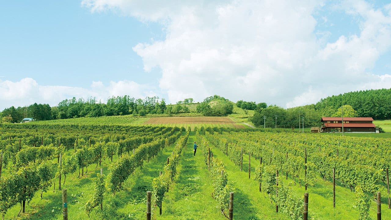 해피 해피 와이너리