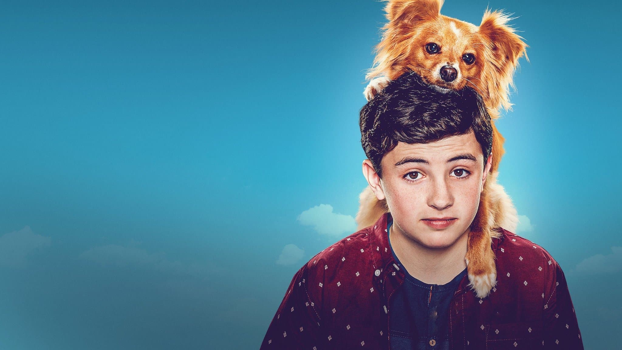 나의 특별한 힐링 친구