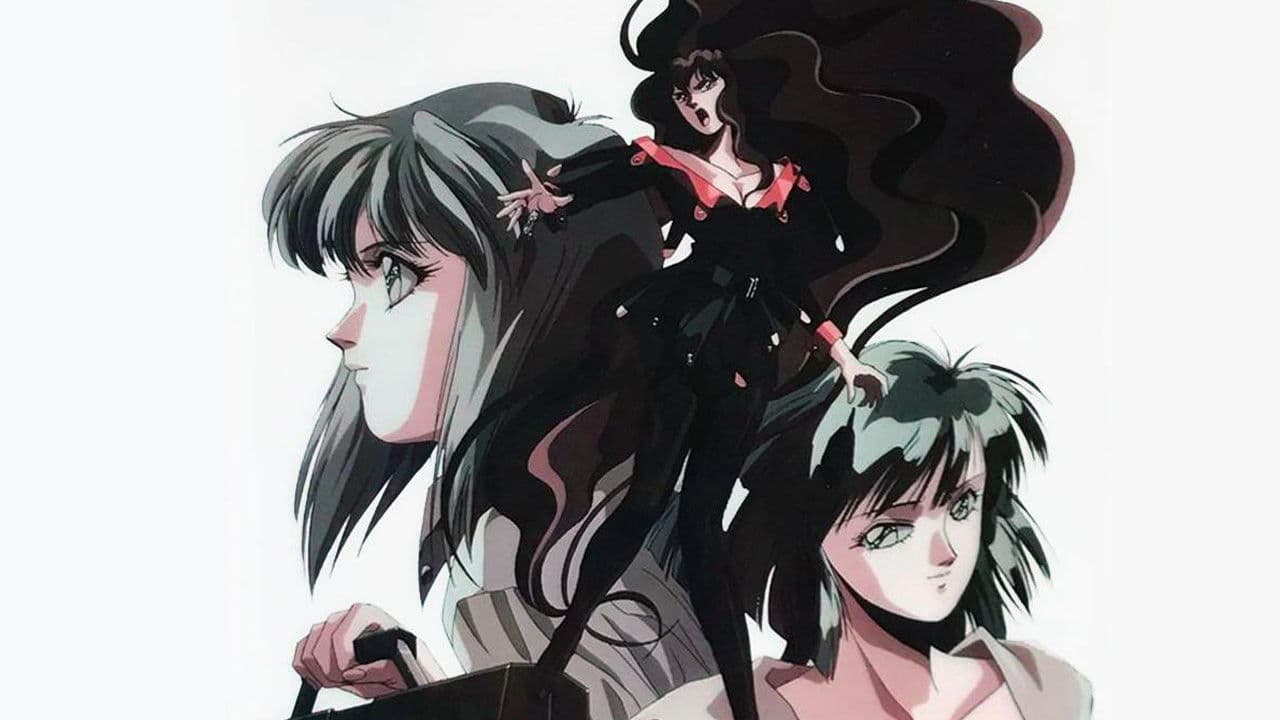 컴파일러: 음의 장