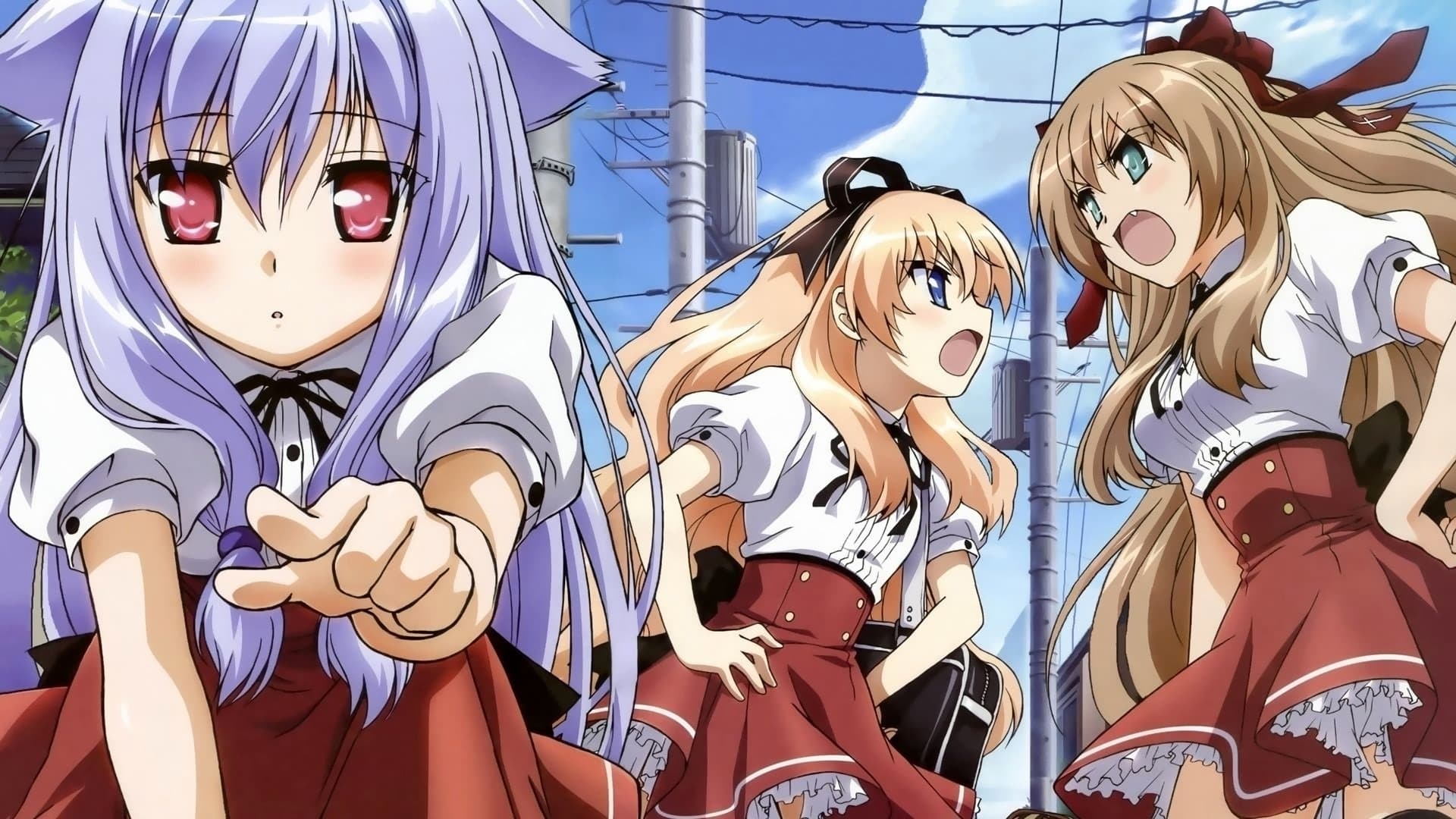 길 잃은 고양이 오버런!