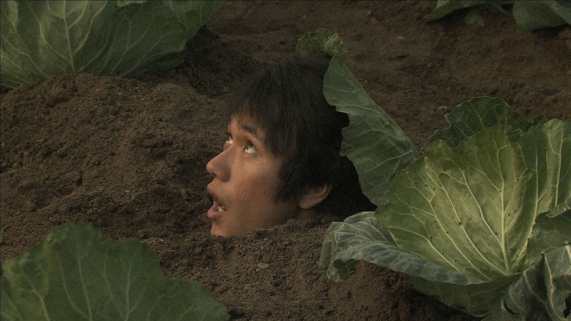 울트라 미라클 러브스토리