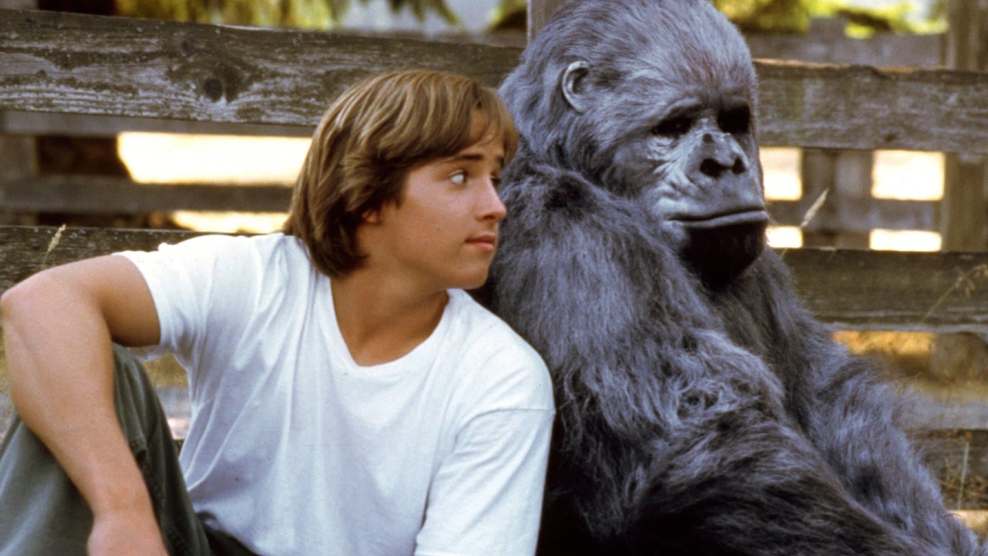 나를 사랑한 고릴라