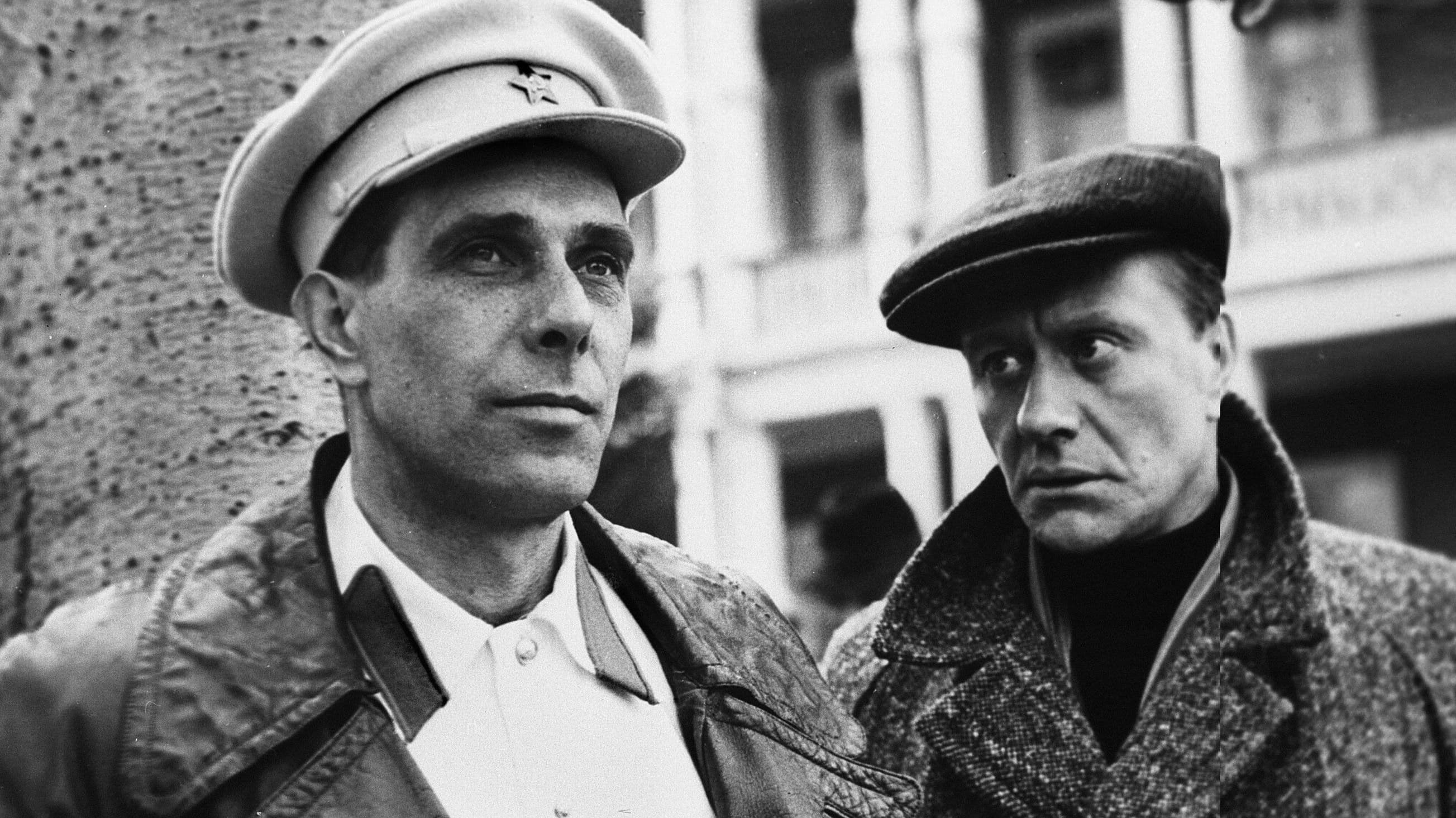 나의 친구 이반 라프신