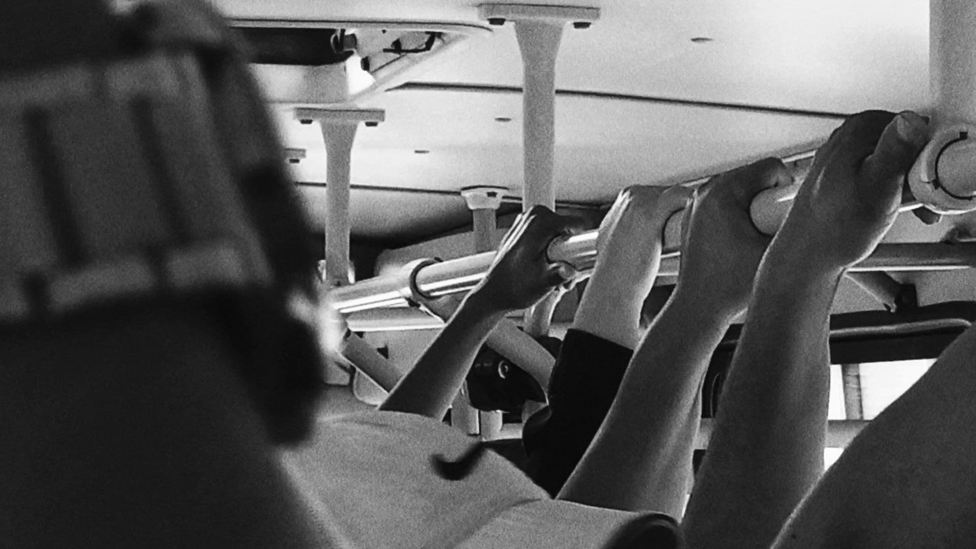 FLOR ARTIFICIAL NA MÁQUINA DA MORTE