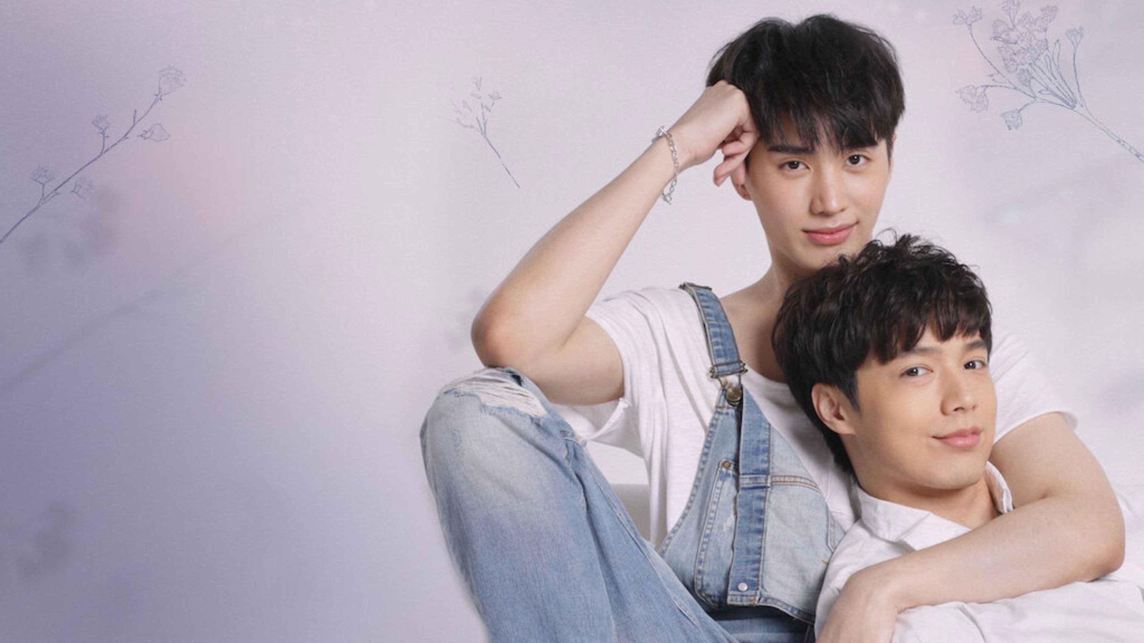 곰 인형의 기적