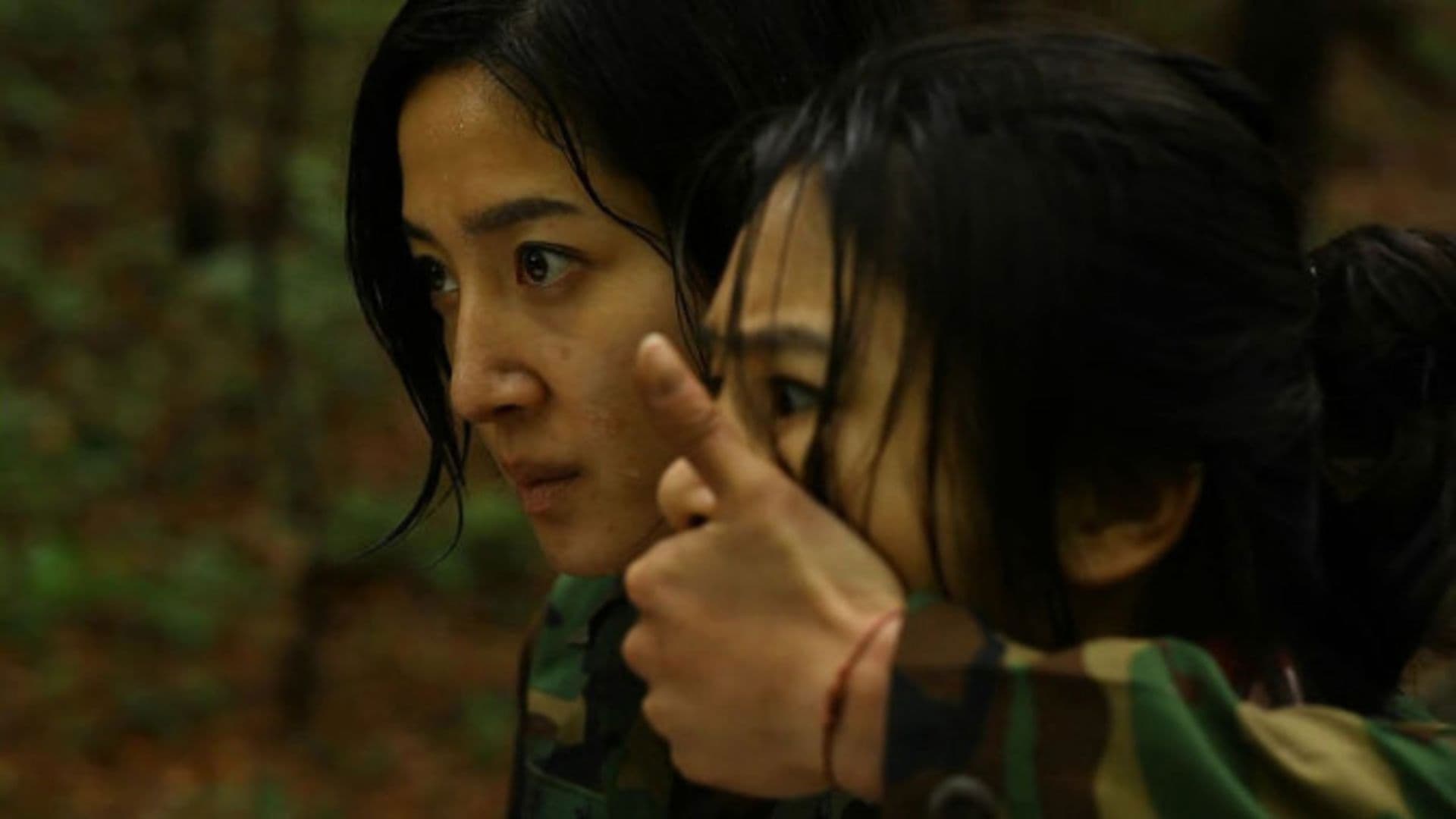 군사통제구역 팔이공지대