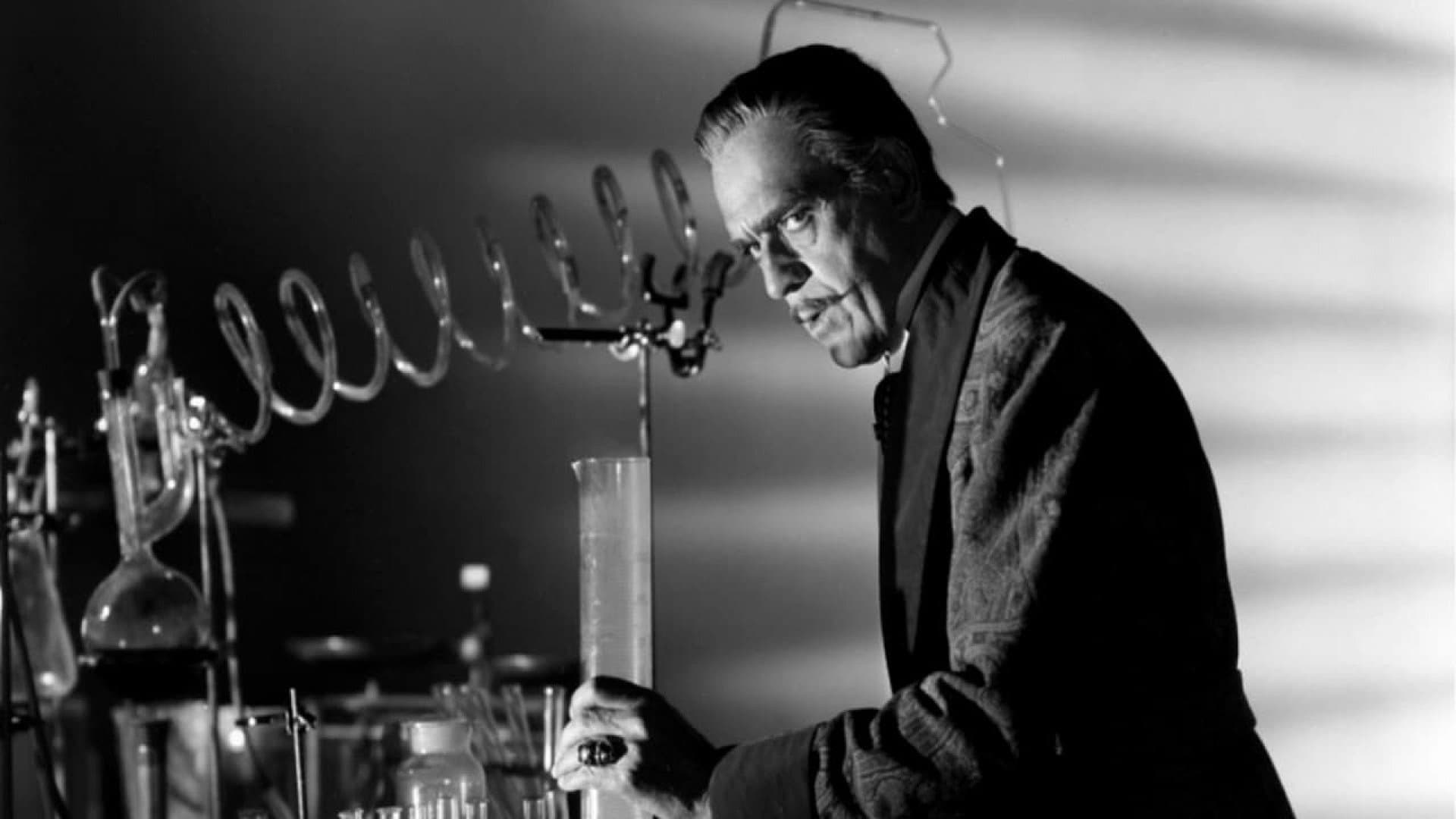 애보트와 코스텔로 5