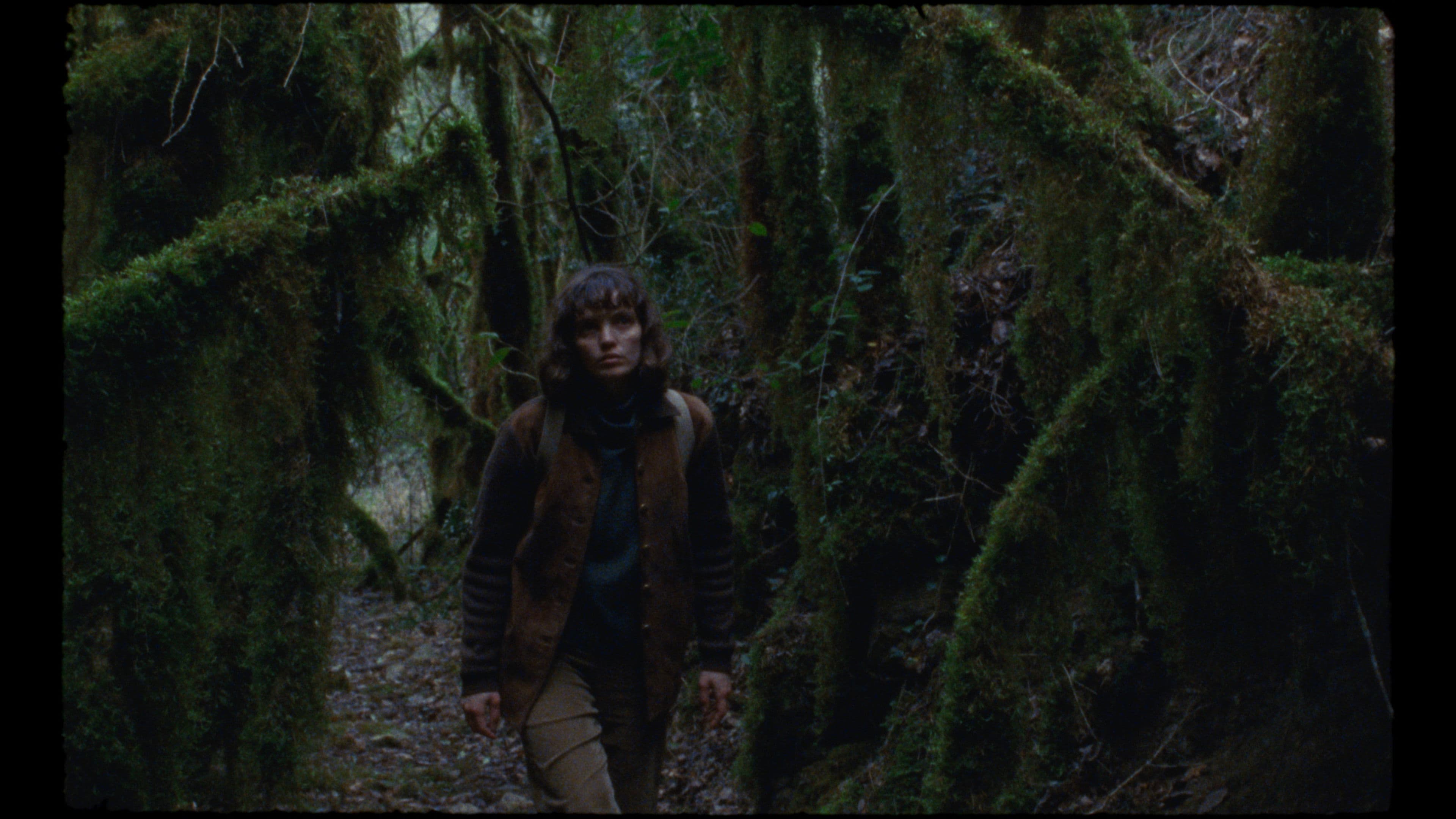 La font de la memòria