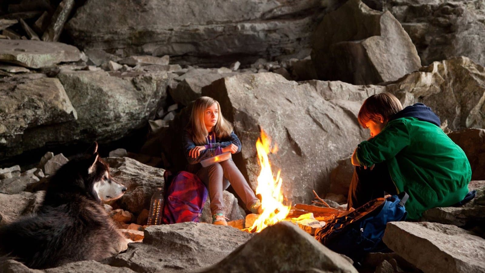 어게인스트 더 와일드