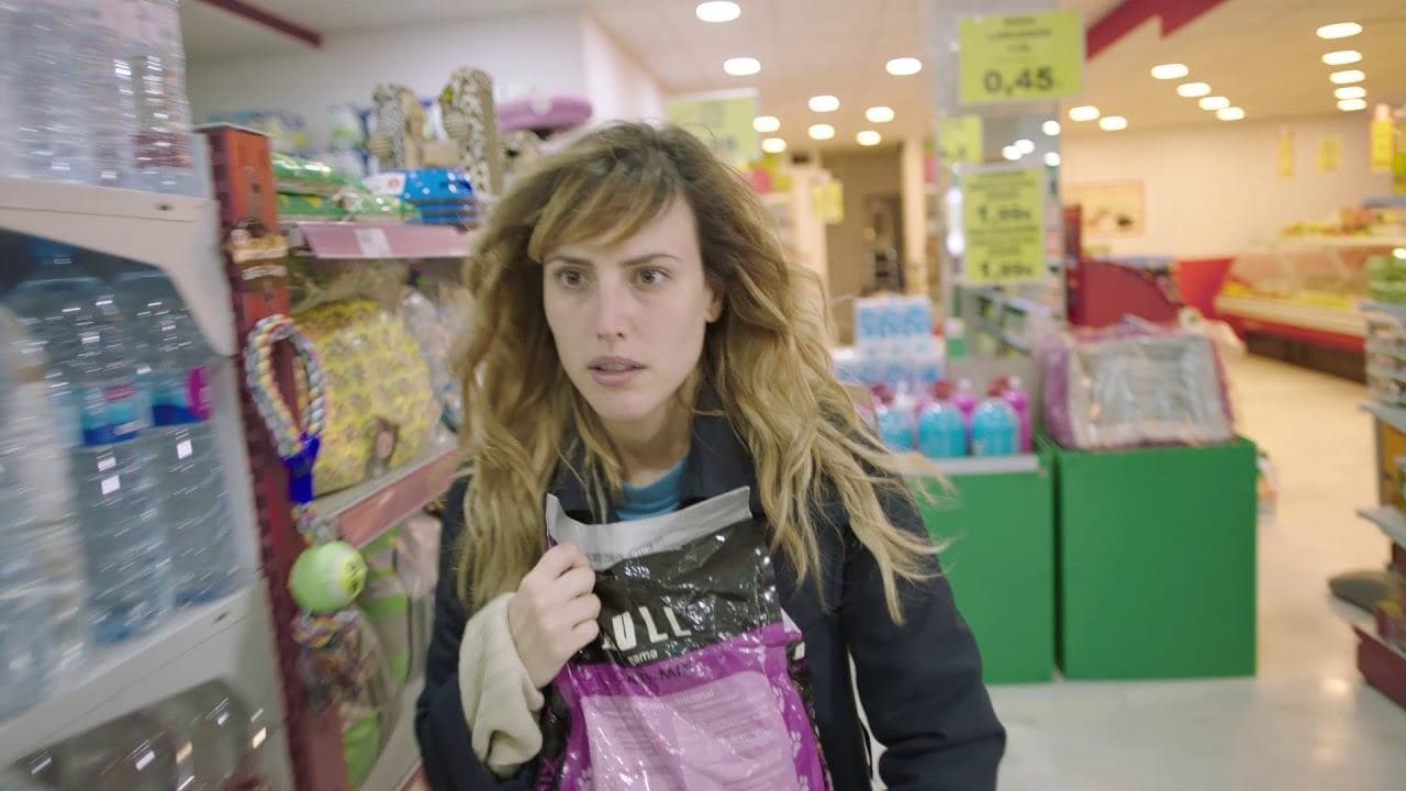 할머니의 고양이 그리고 522걸음의 여행