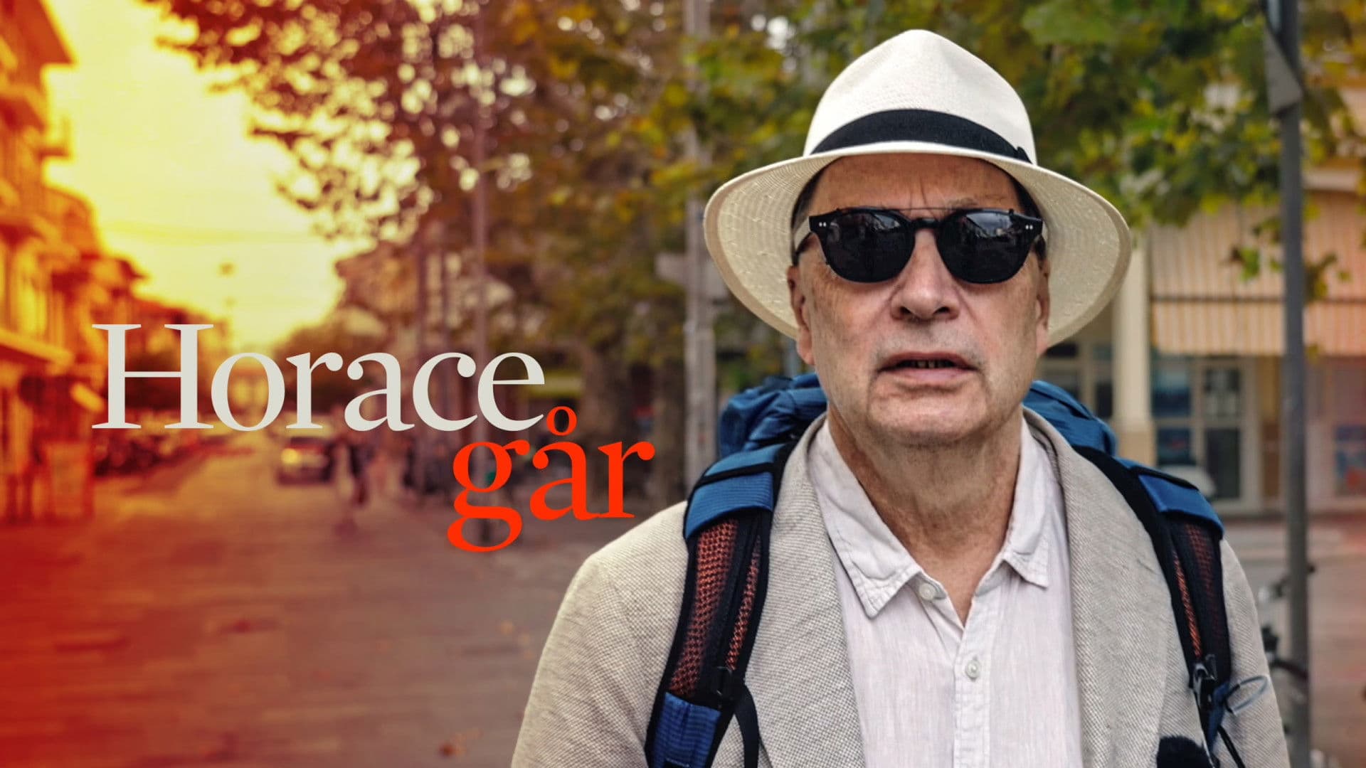 Horace går - en vandring genom livet och krisen