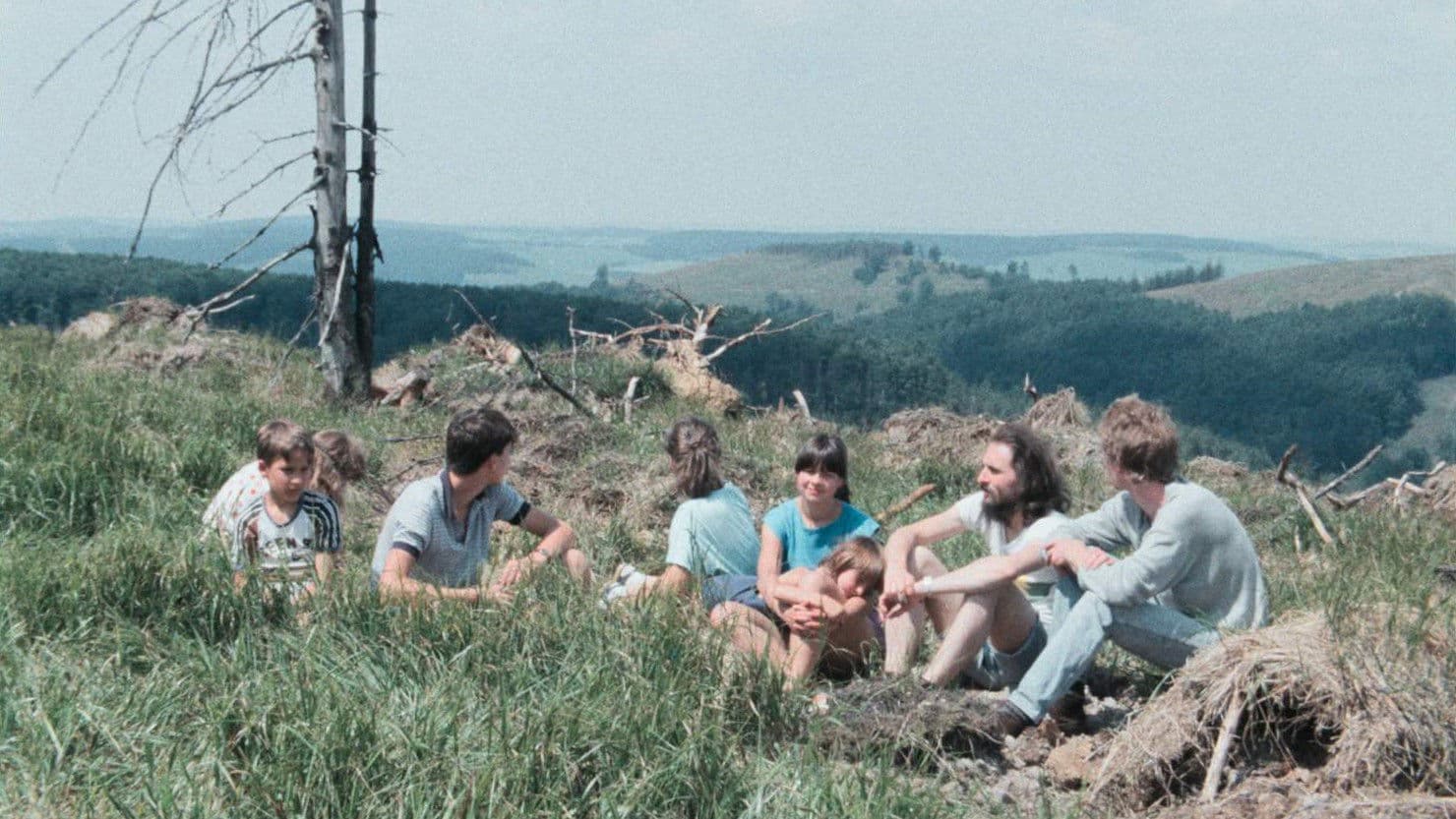 "Wer hat dich, du schöner Wald…" oder Wie ein Film verhindert wurde
