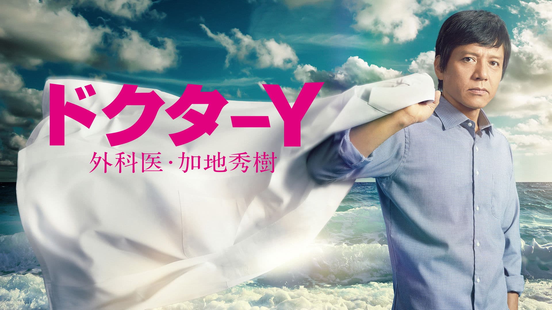 닥터 Y~외과의 카지 히데키