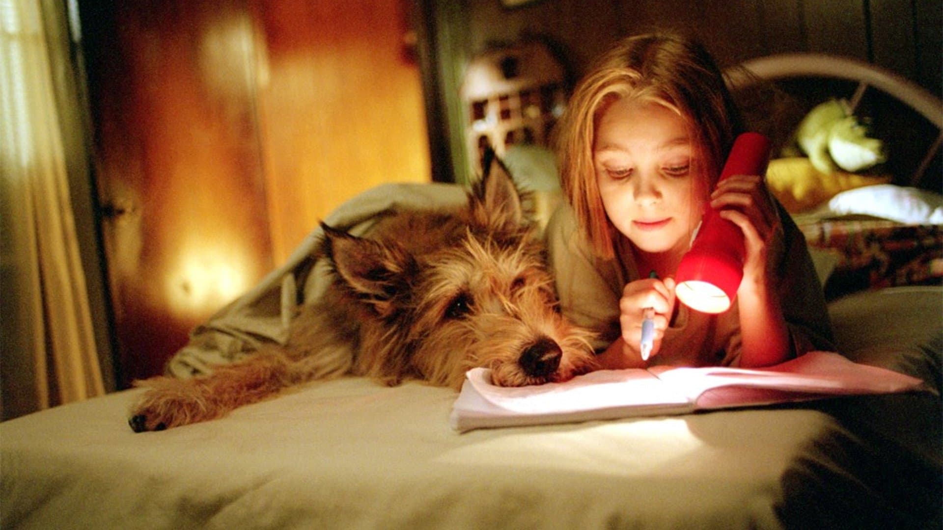 웨인왕의 윈-딕시