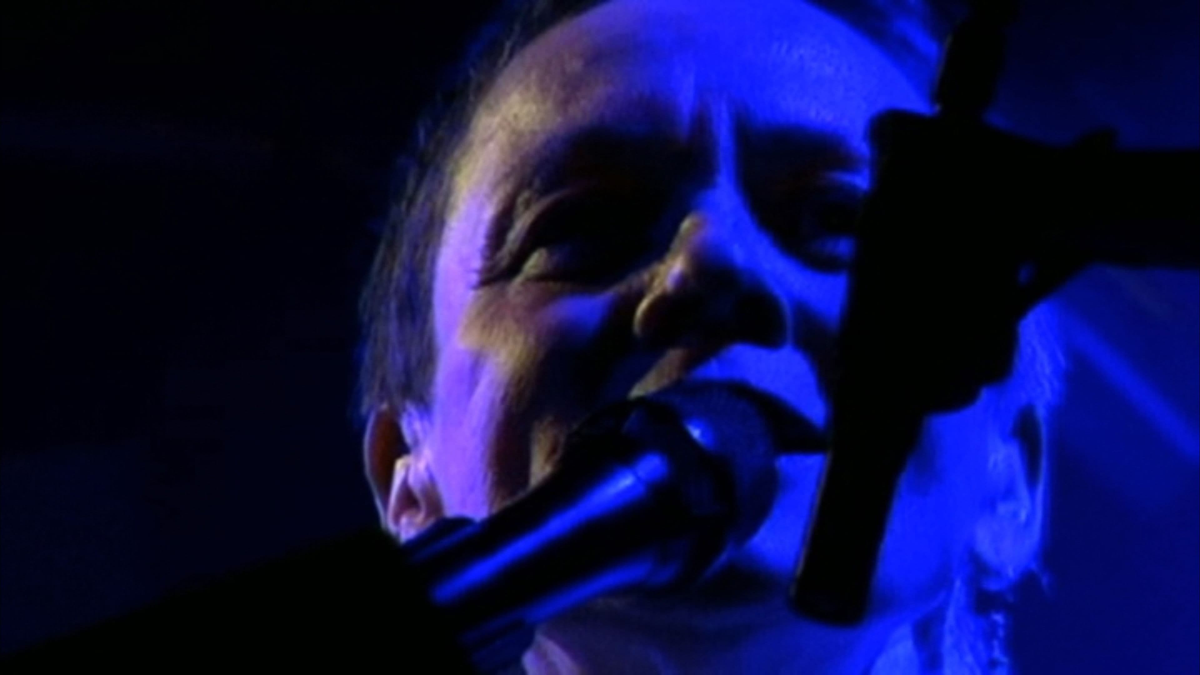 Homeland: The Story of the Lark