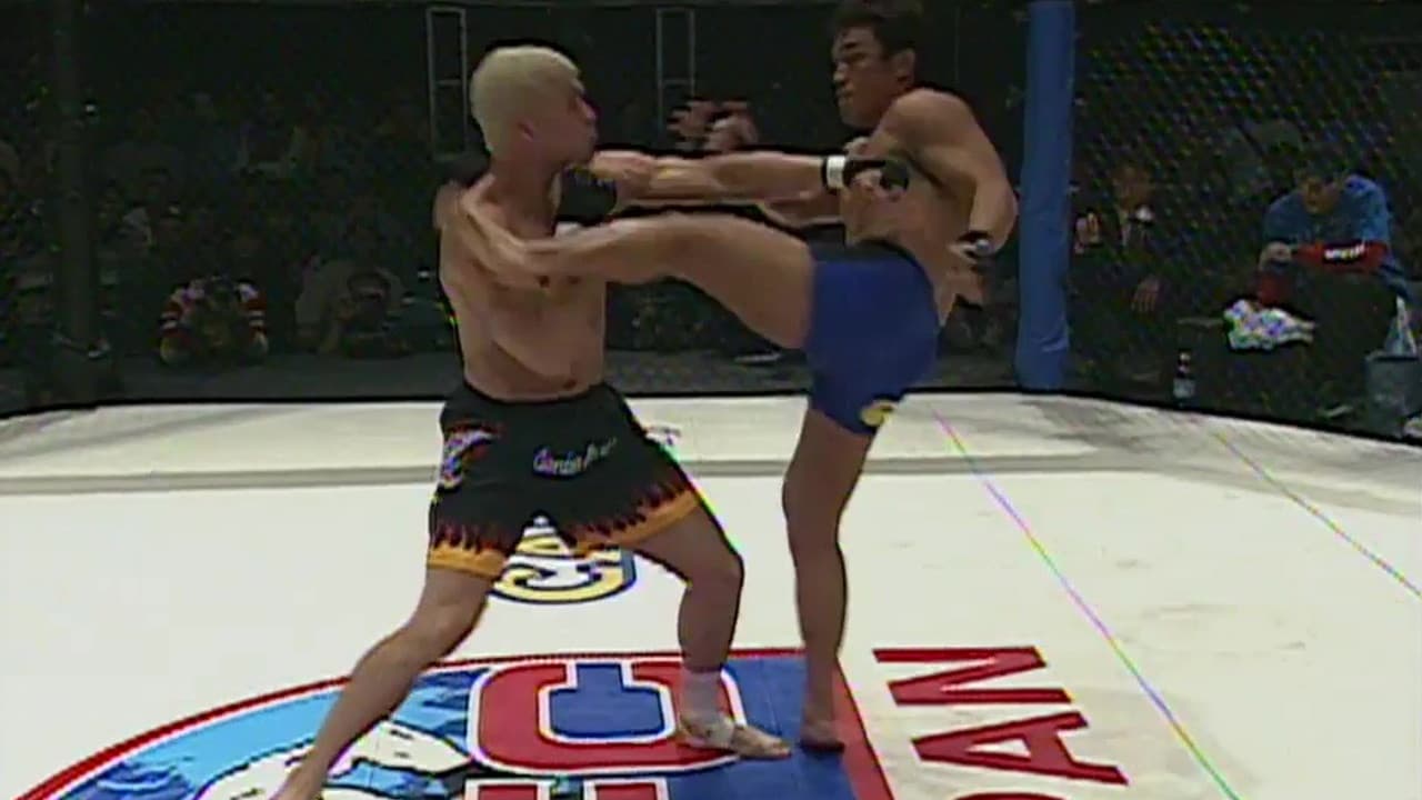 UFC 29: Defense of the Belts