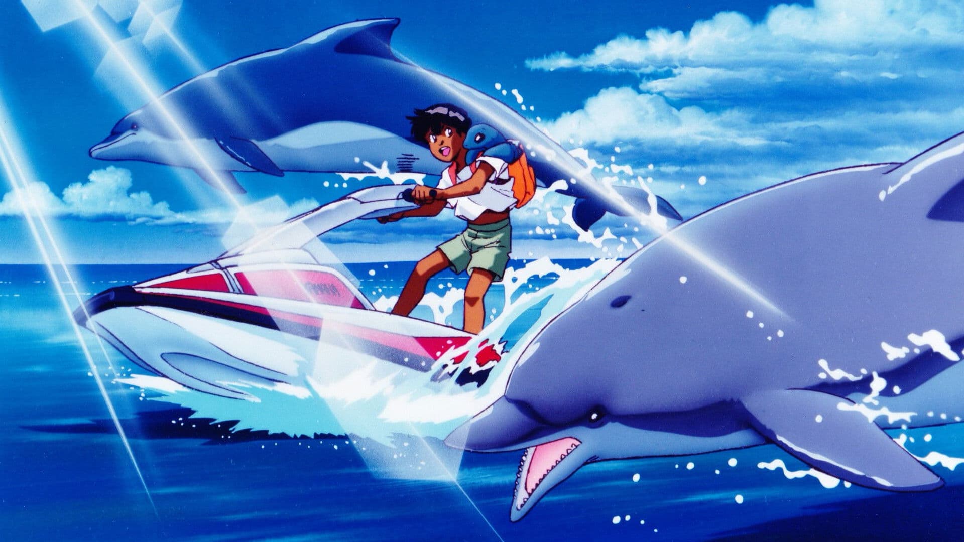 먼 바다에서 온 쿠