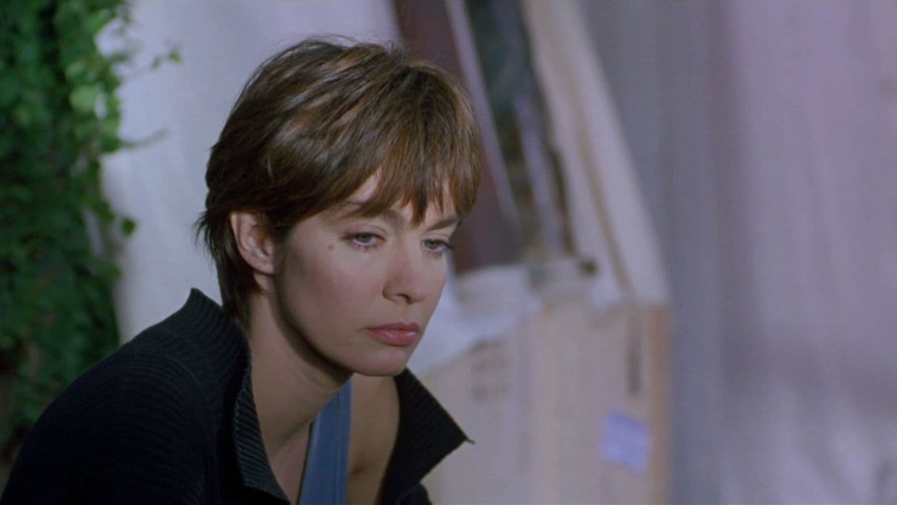 식스 데이 식스 나잇