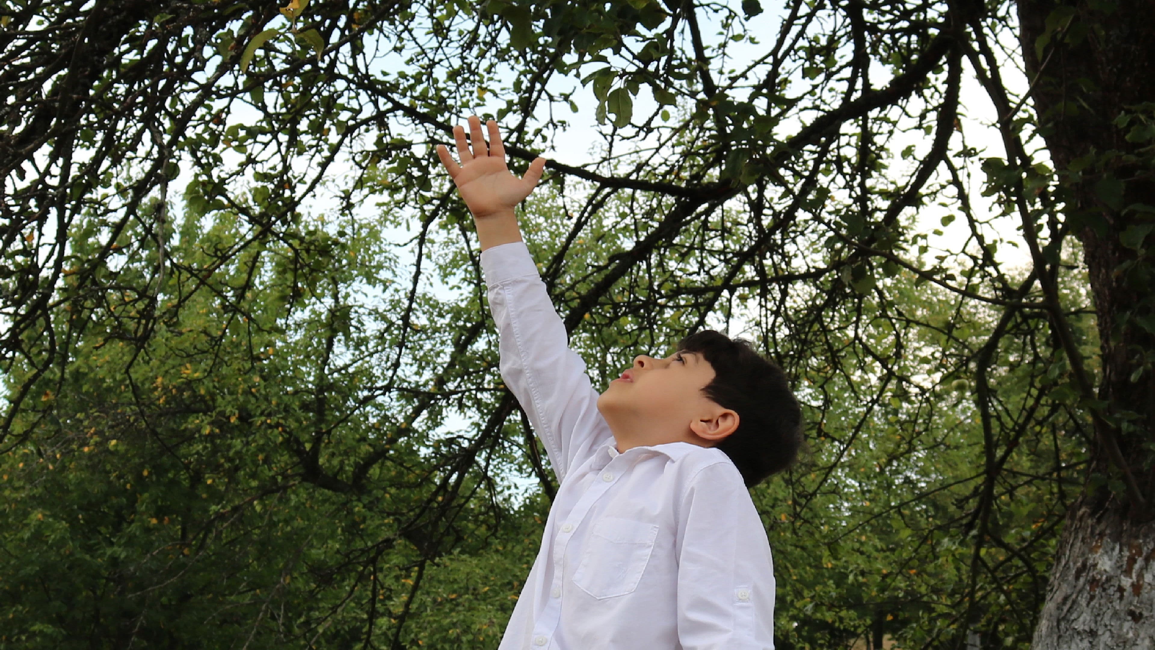 ظلال يوغسلافيا