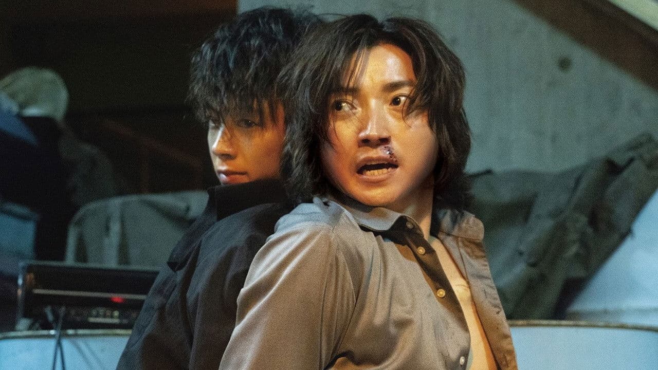 태양은 움직이지 않는다