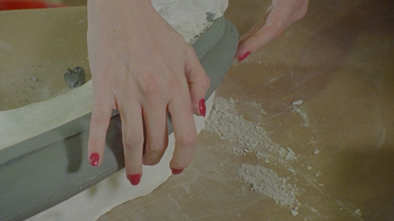 멀리서, 다르고 닮은