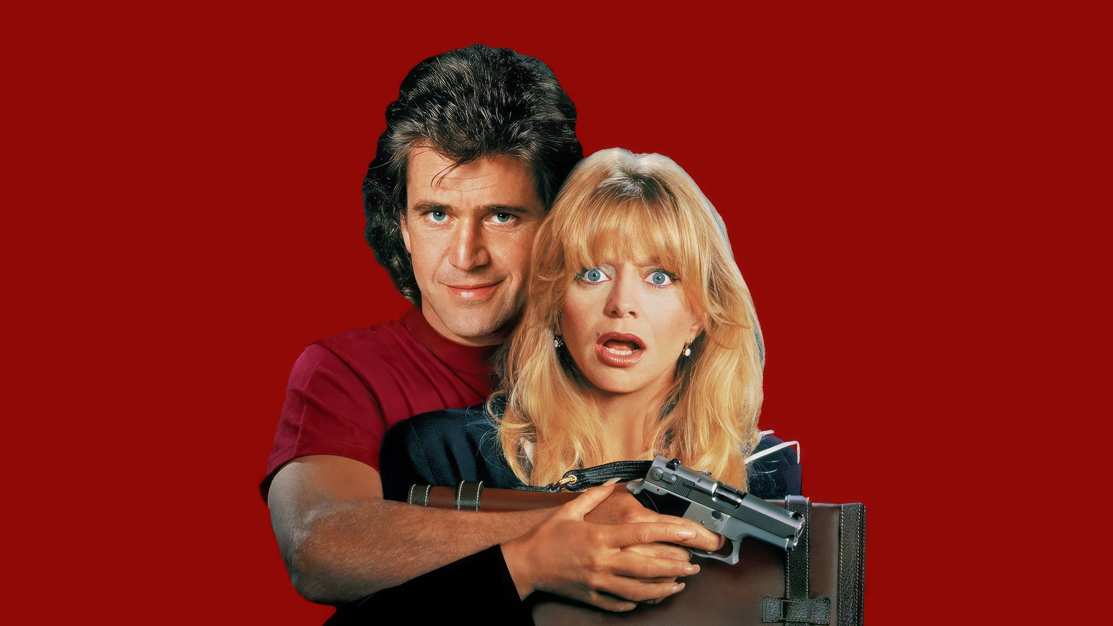 전선 위의 참새