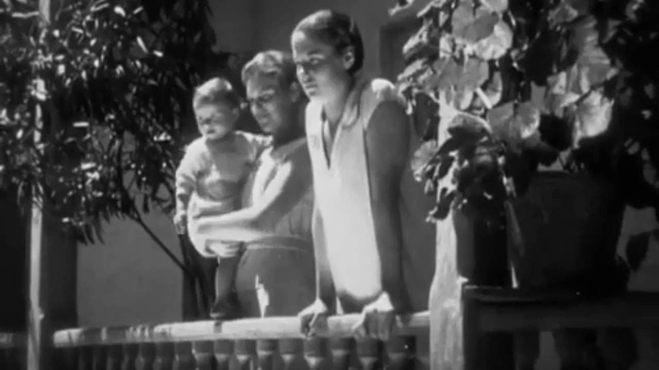 შაქირი (როტე ფანე)