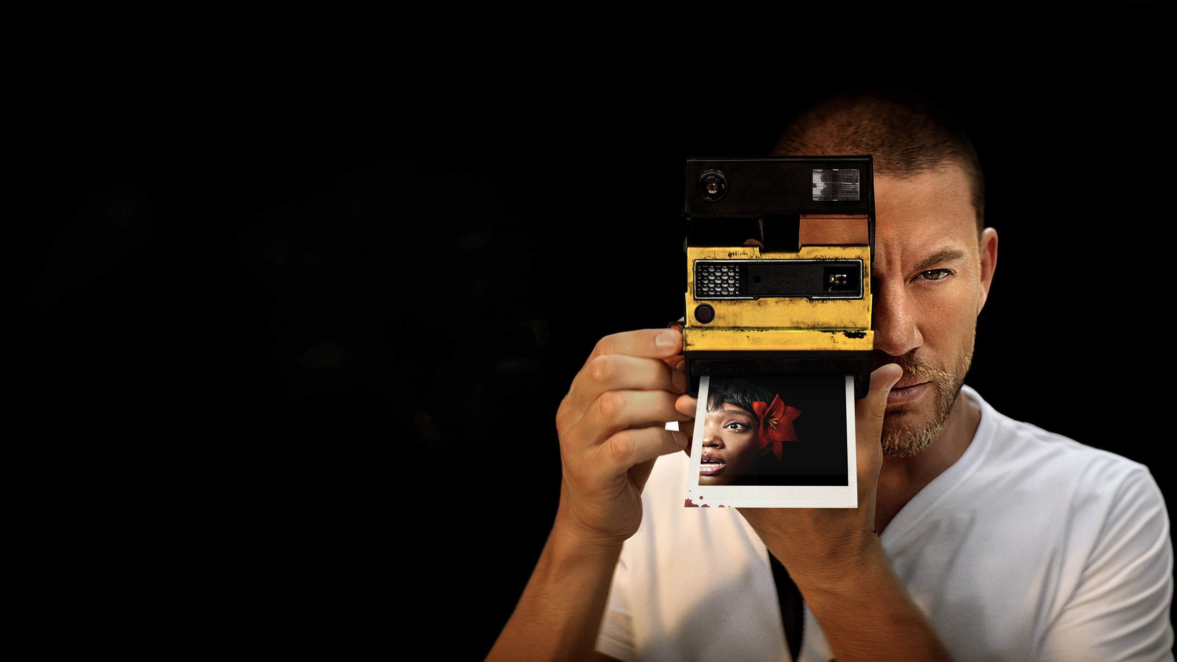 블링크 트와이스