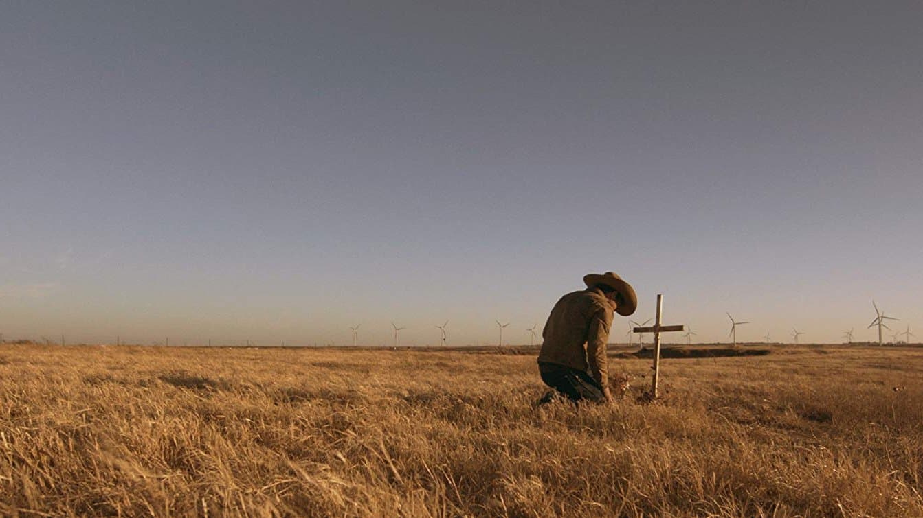 카우보이: 세이브 허