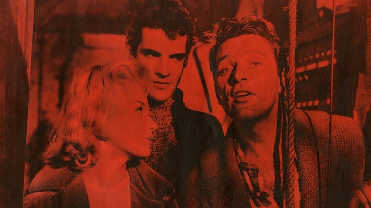 성난 얼굴로 돌아보라