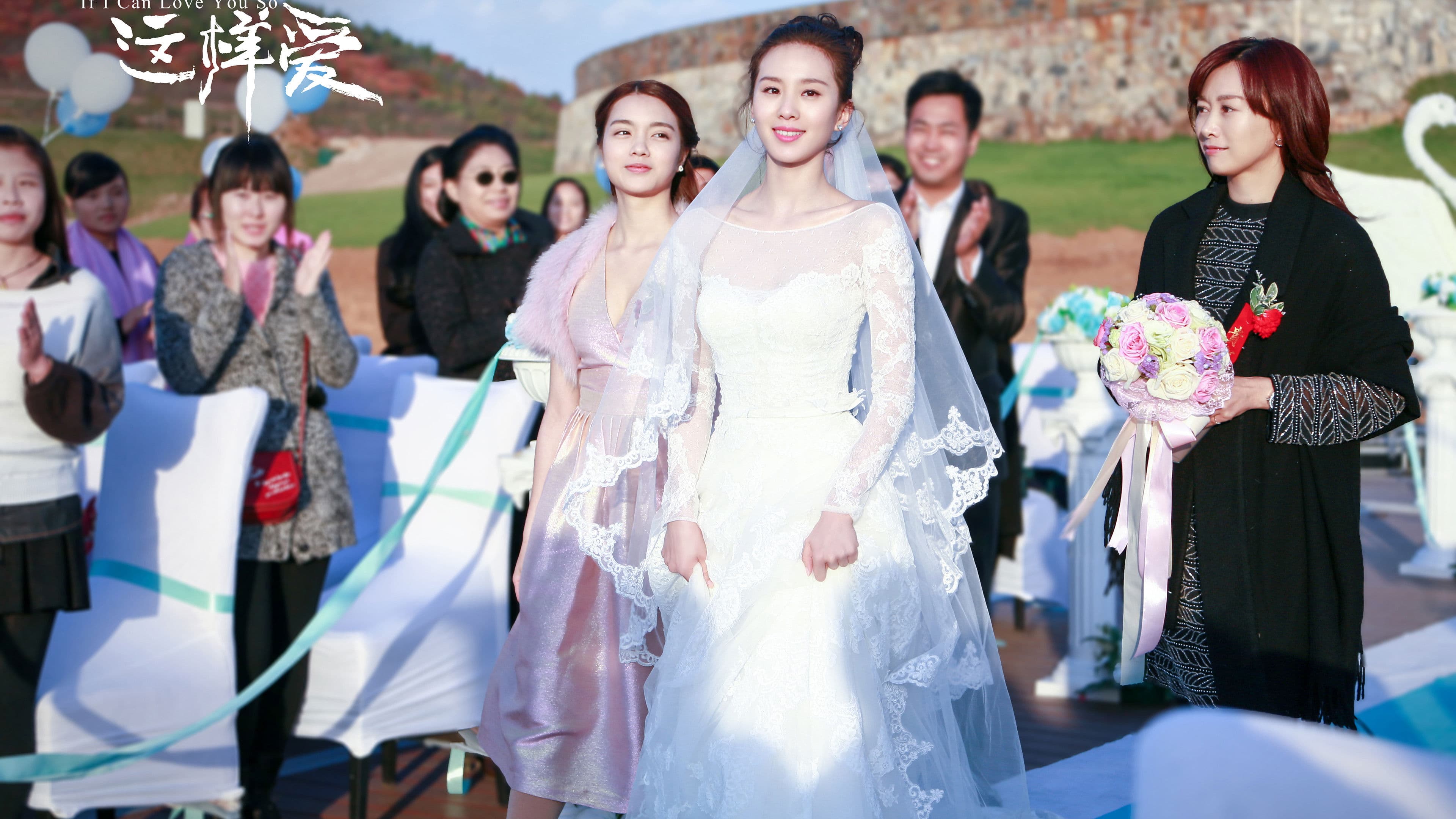 여과가이저양애