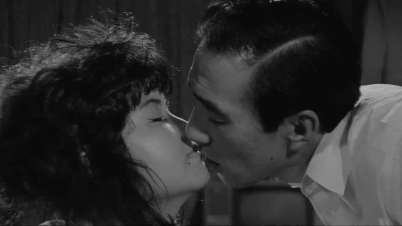 散歩する霊柩車