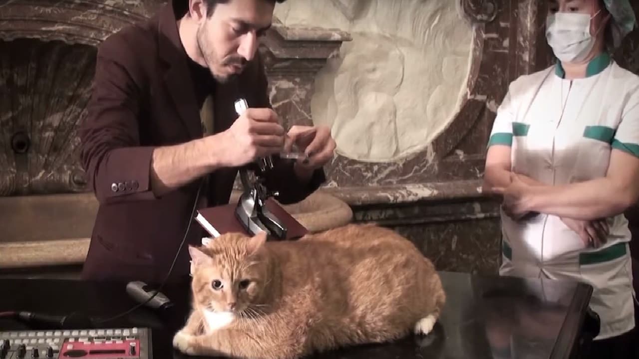 Metacinema appliqué