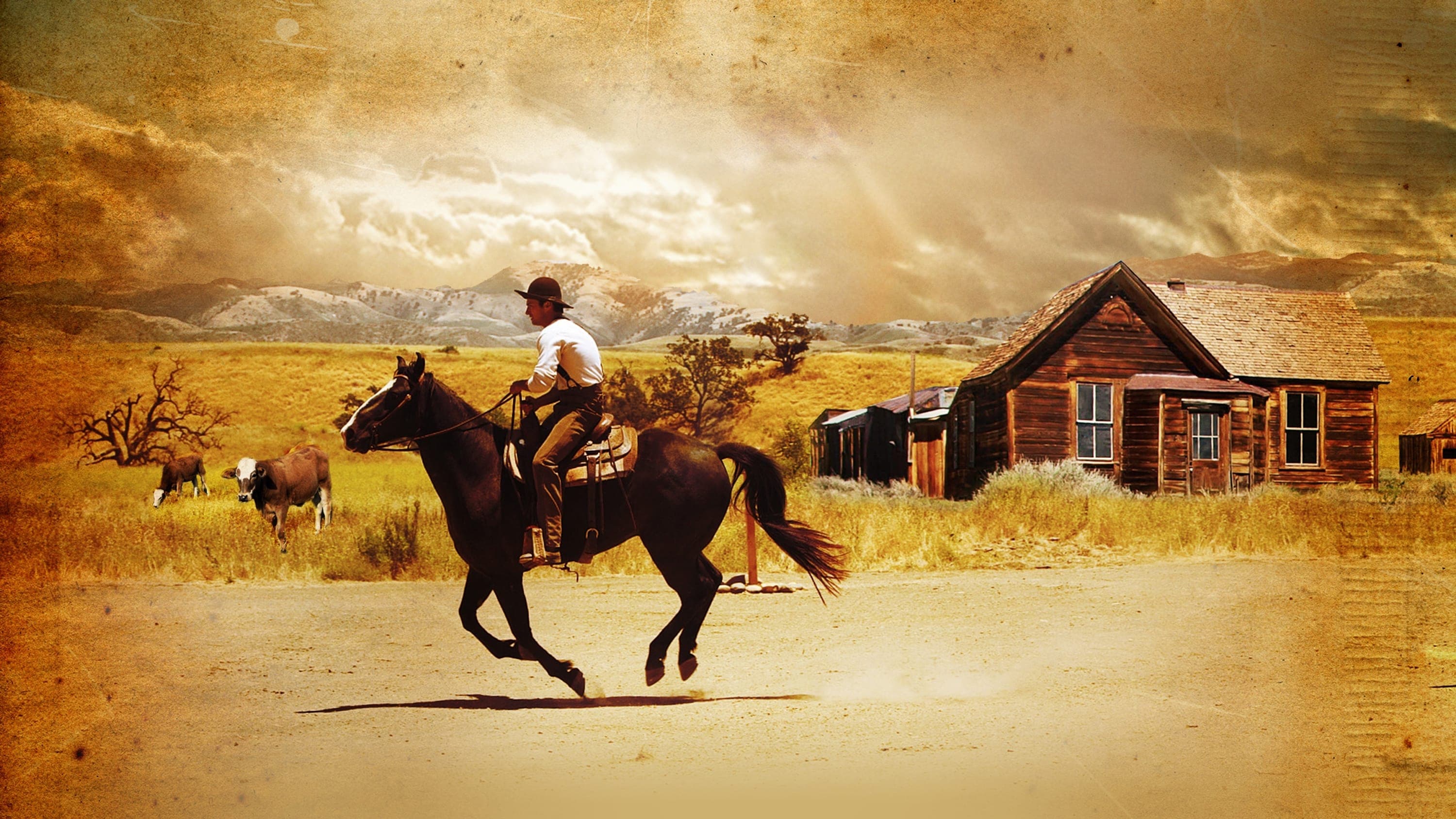 사랑은 영원한 약속