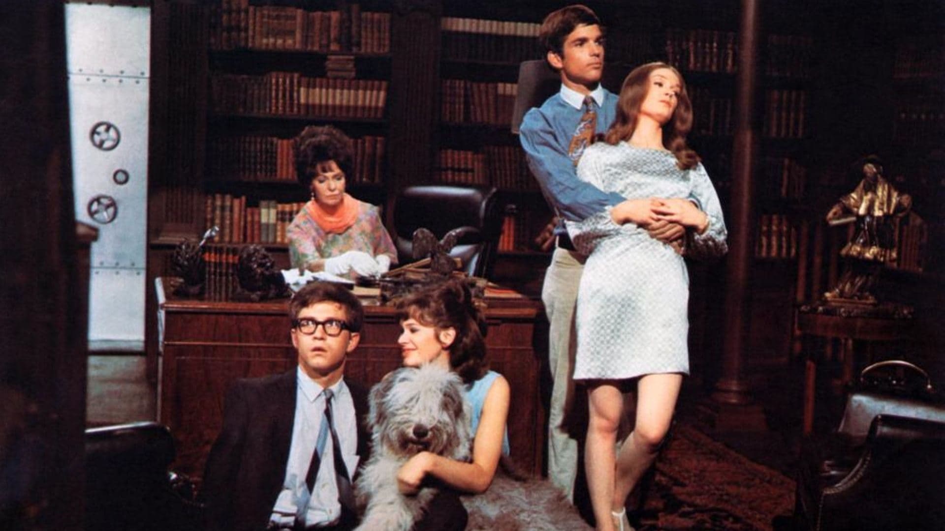 유어 빅 보이 나우