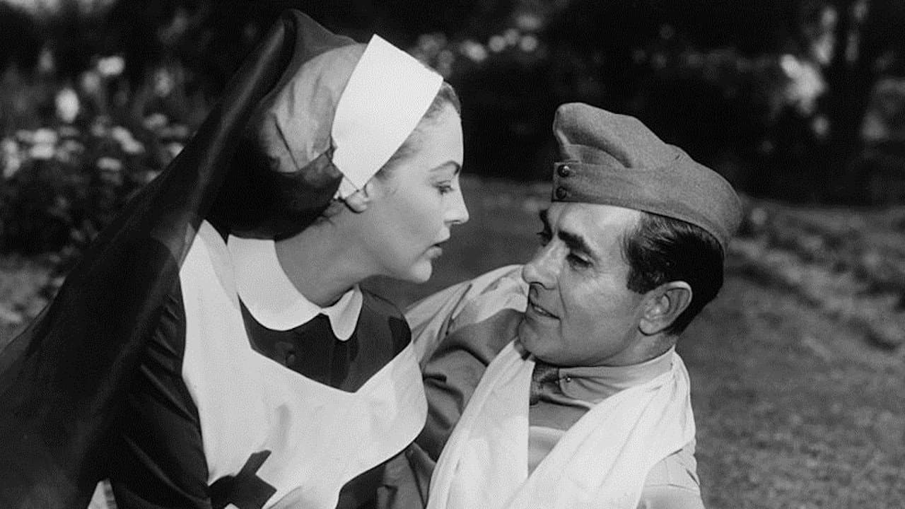 해는 또다시 뜬다