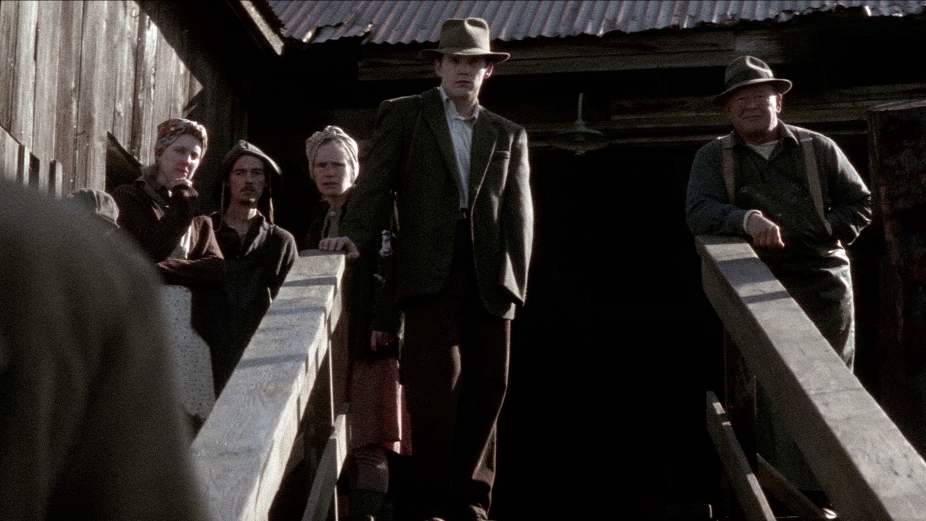 삼나무에 내리는 눈