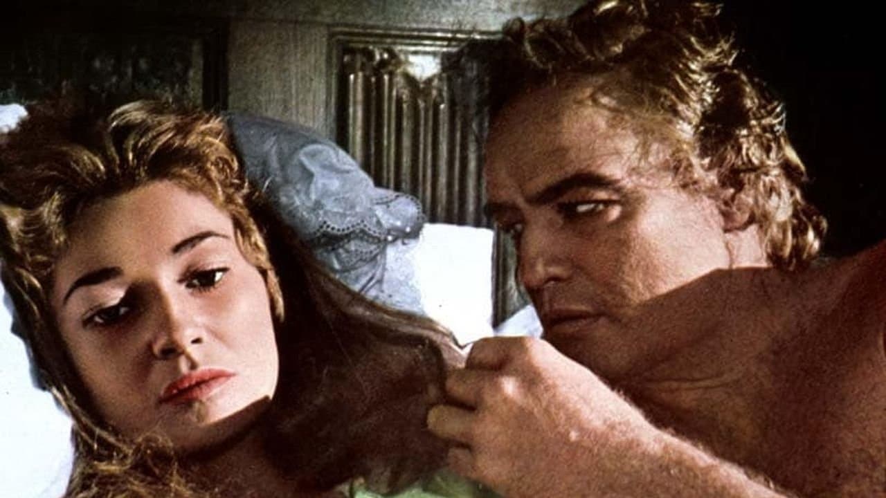 더 나이트커머스