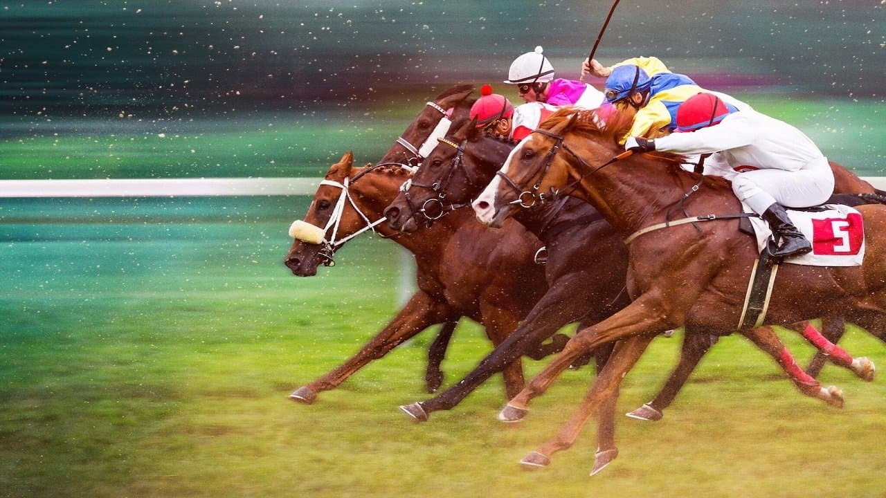 왕관을 향한 질주