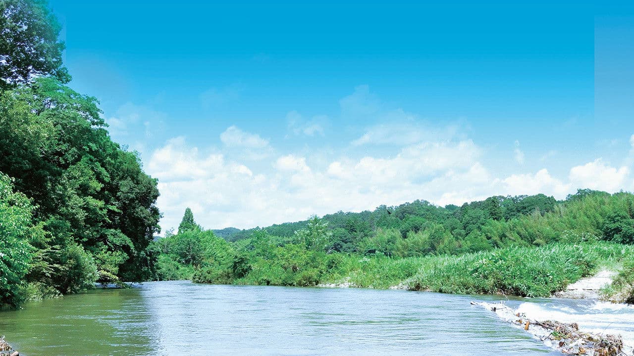 우리집의 여름〜리버 사이드 패밀리〜