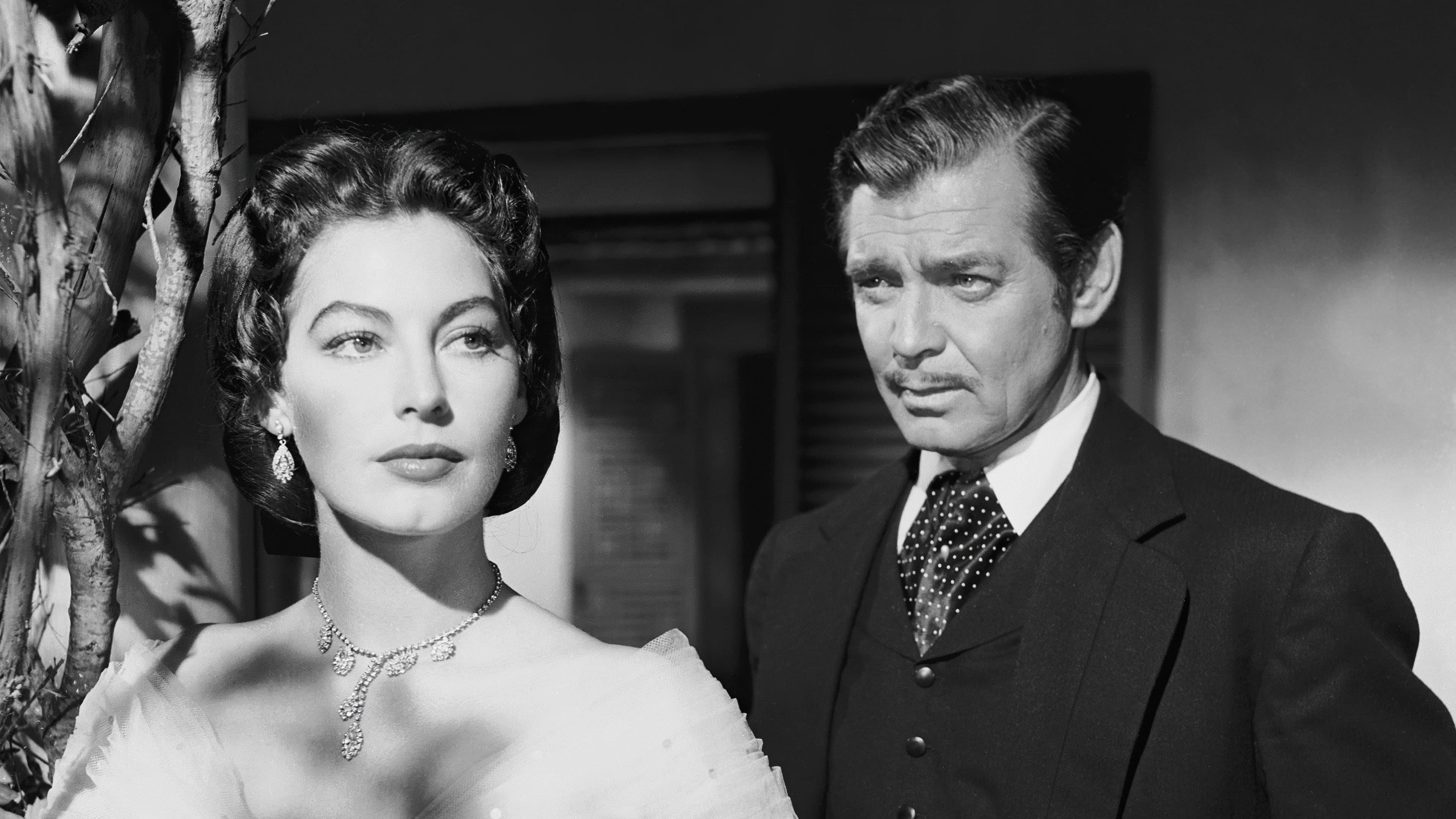 영광의 별 하나