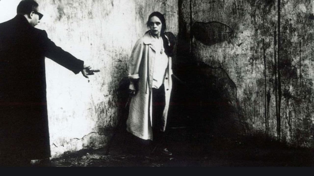 Отражение в зеркале