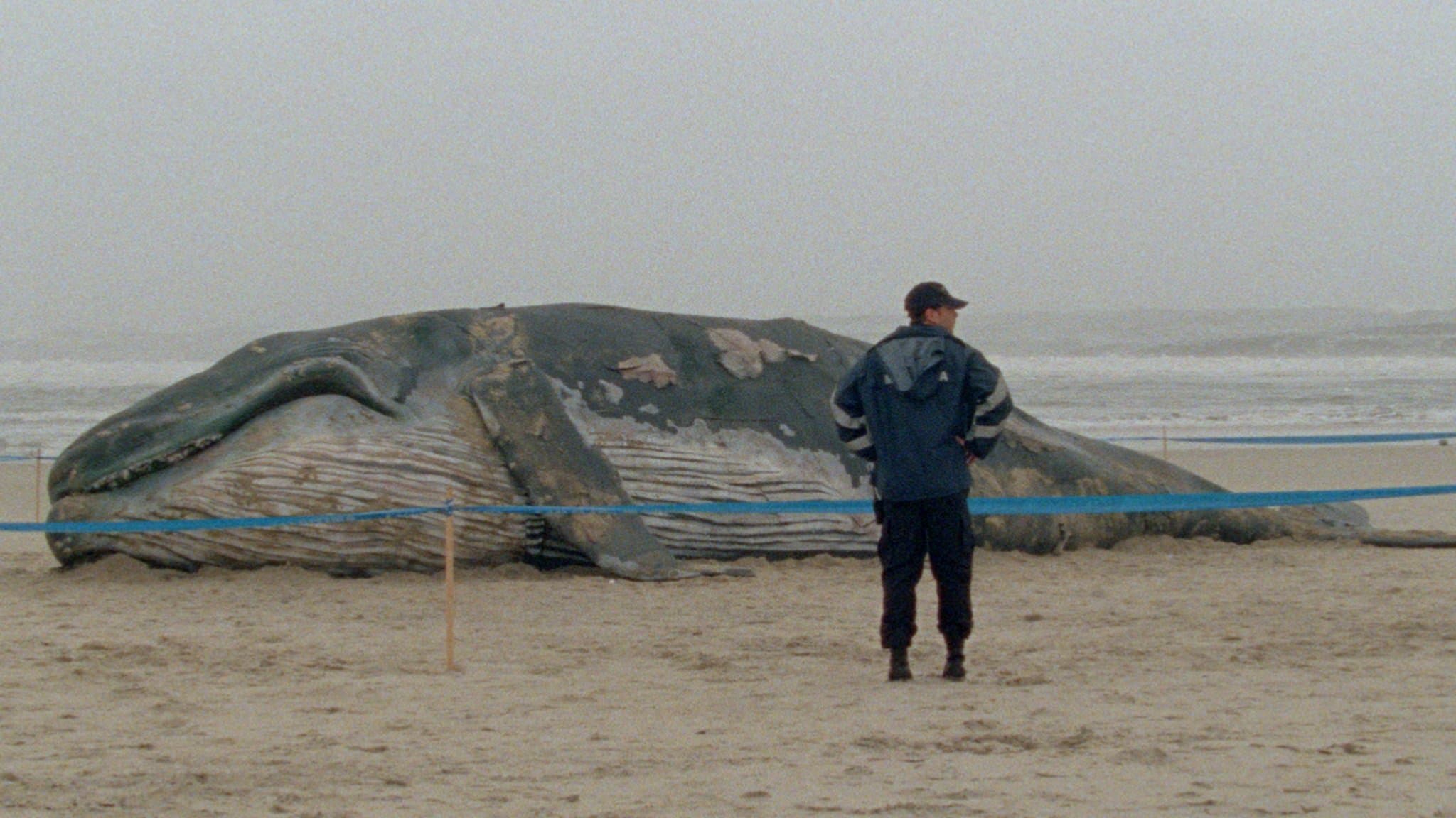 천일야화 1부: 불안해하는 자