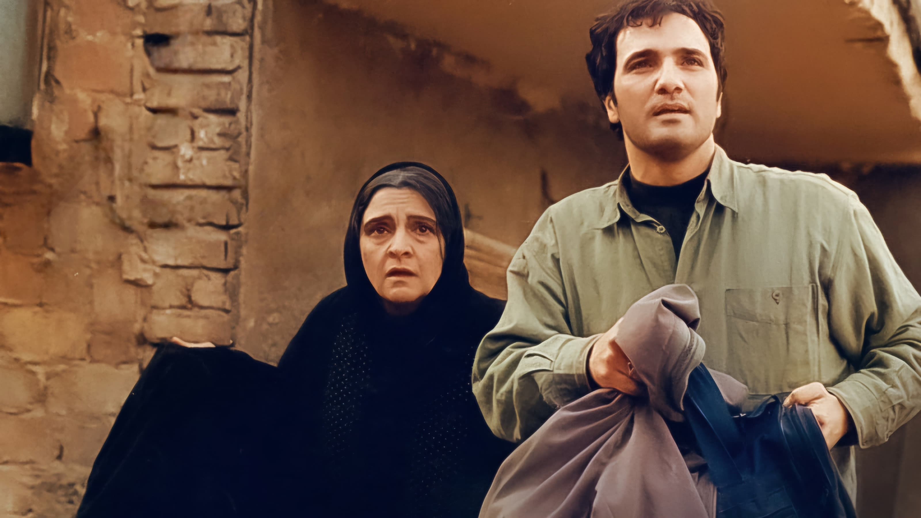 زیر پوست شهر