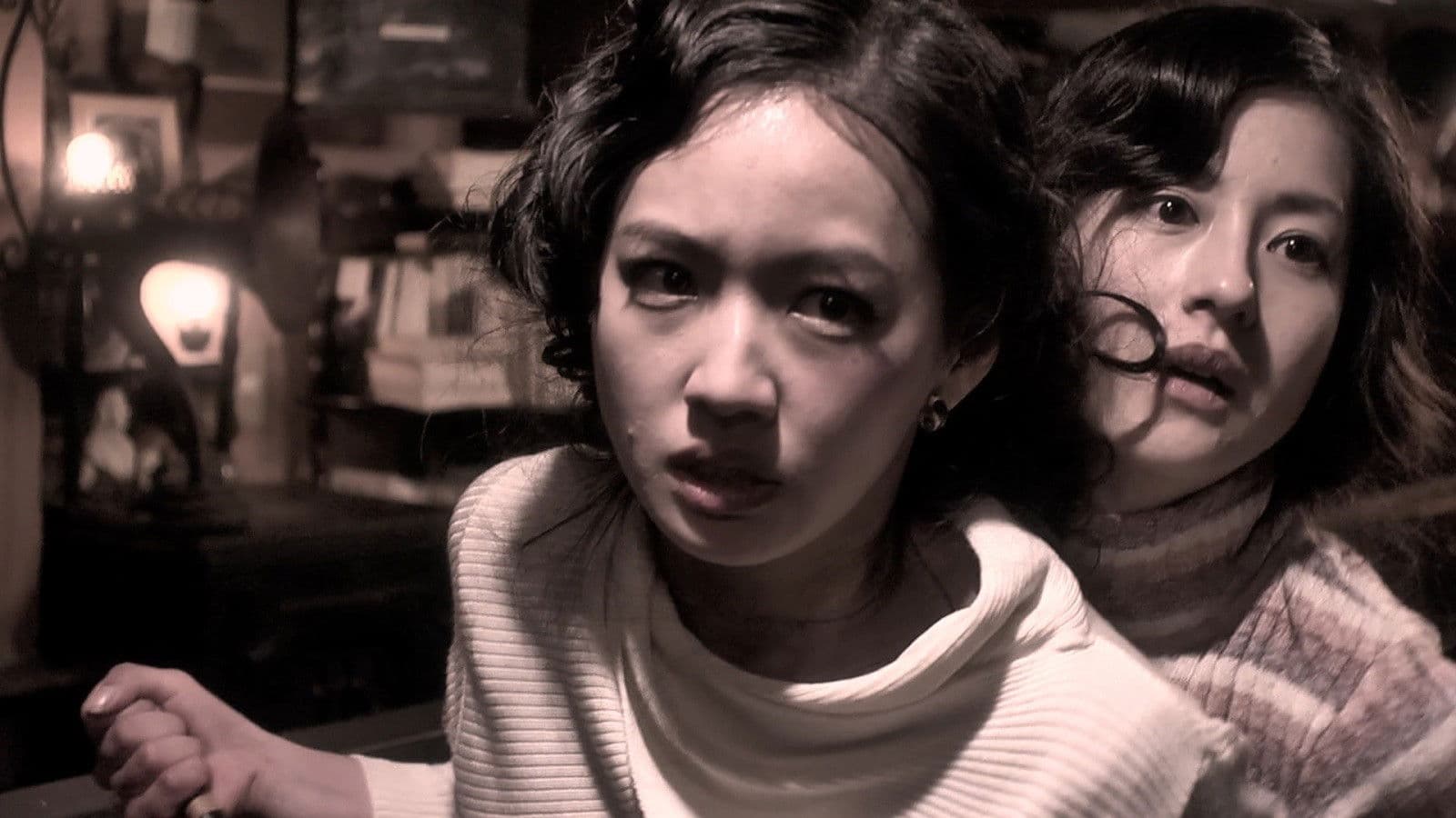 다락방의 산책자